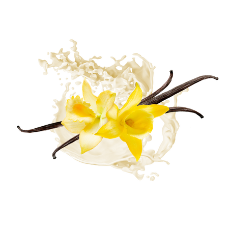 Splash Image
