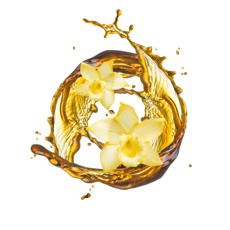 Splash Image