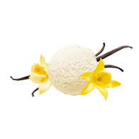 Vanilla Perfection / 150g