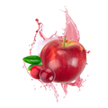 Apple Cranberry / 65ml