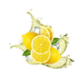 Iced Tea Style Lemon / 600g