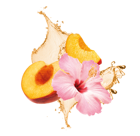 Splash Image