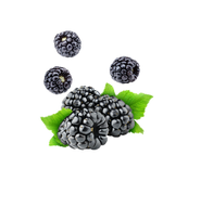 Blackberry / 65ml