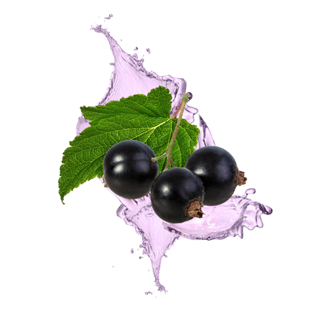 Splash Image