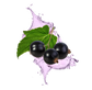 Splash Image