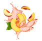 Splash Image