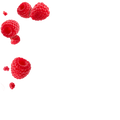 Raspberry / 30 x 5g