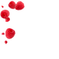 Splash Image