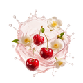 Cherry White Tea / 300g