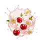 Splash Image