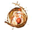 Hazelnut / 65ml
