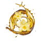 Splash Image