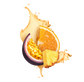 Splash Image