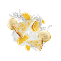 Lemon Ice Cream Cake / 30g sample