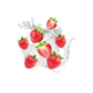 Splash Image