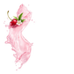 Splash Image