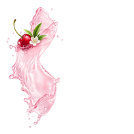Cherry White Tea / 300g
