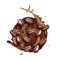 Cafe Frappe Style V1 / 500g