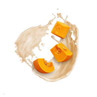 Pumpkin Spice Latte / 500g