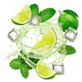 Lemonade Style Virgin Mojito / 30g sample