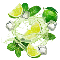 Lemonade Style Virgin Mojito / 600g