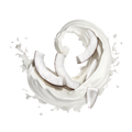 Coconut Milk / 600g