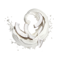 Coconut Milk / 50g Probe