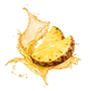 Splash Image